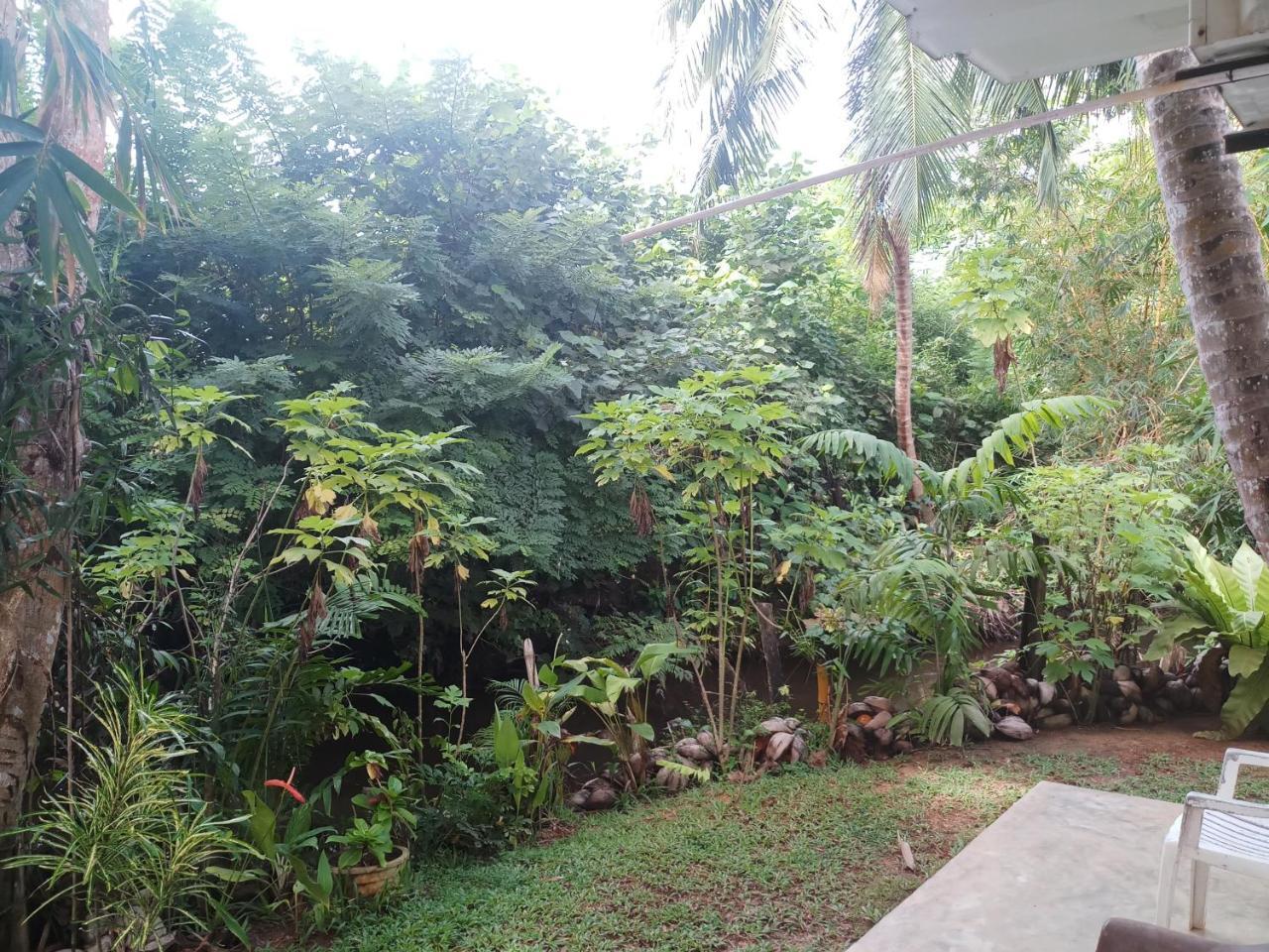 Lakvilla Hikkaduwa Exterior foto