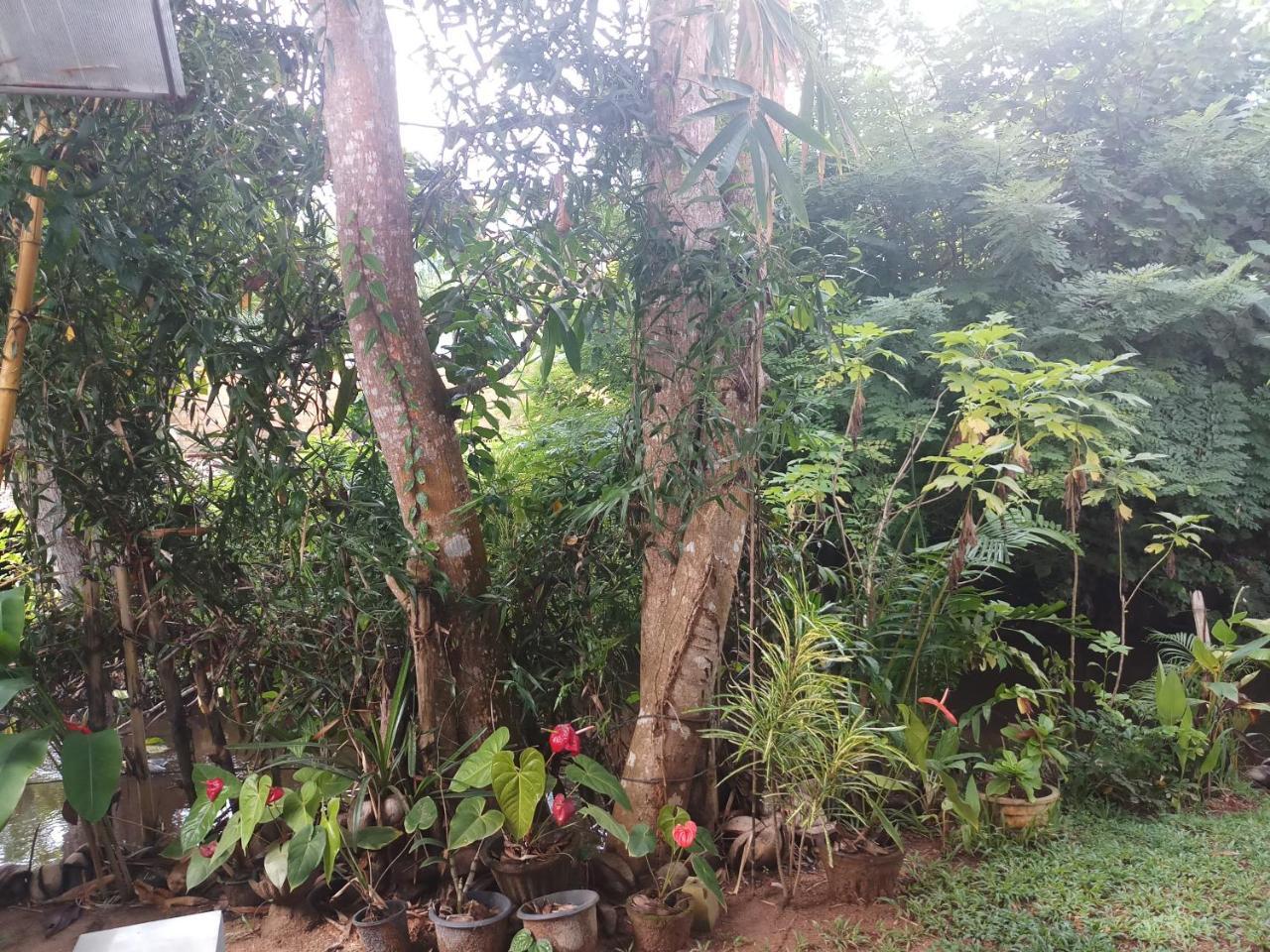 Lakvilla Hikkaduwa Exterior foto