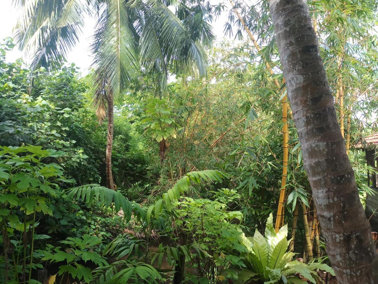 Lakvilla Hikkaduwa Exterior foto